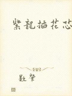 紫龙插花芯封面