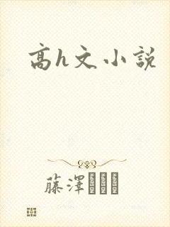 高h文小说