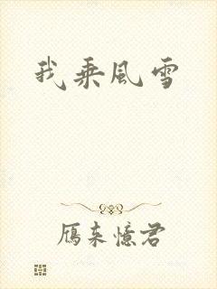我乘风雪封面