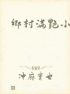 乡村满艳小说封面