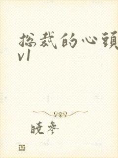 总裁的心头宝1v1