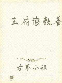 王府惩教养日常