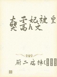 太子妃被皇上c哭高h文封面