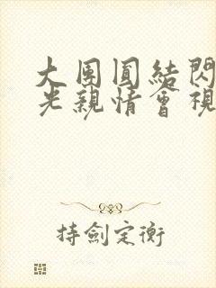 大团圆结闪闪发光亲情会视频