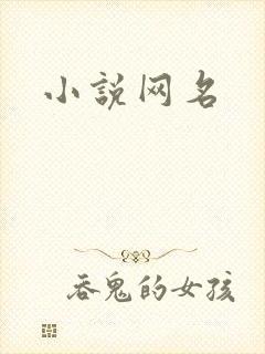 小说网名