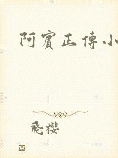 阿宾正传小说