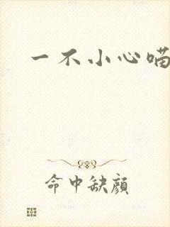 一不小心喵上你封面