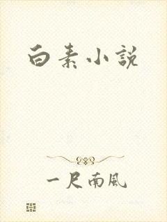 白素小说