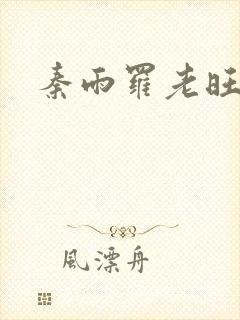 秦雨罗老旺封面