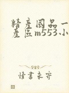 精产国品一二三产区m553小说封面