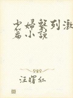 少妇系列激情短篇小说