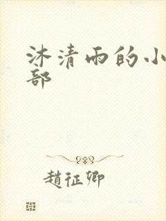 沐清雨的小说全部封面