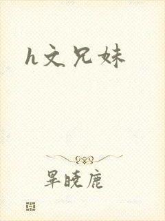 h文兄妹封面