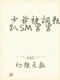 少爷被调教室跪趴SM男男