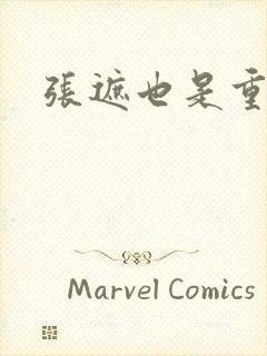 张遮也是重生吗封面