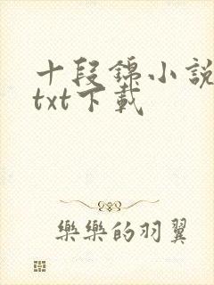 十段锦小说全本txt下载