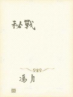 秘战