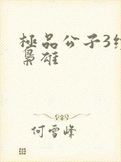 极品公子3续世枭雄