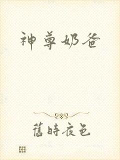 神尊奶爸封面