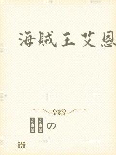 海贼王艾恩封面