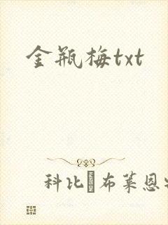 金瓶梅txt