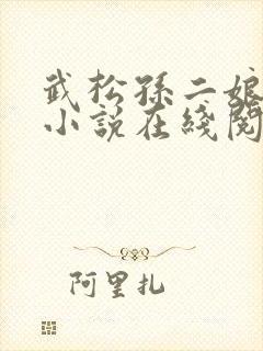 武松孙二娘云雨小说在线阅读封面