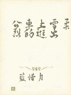 公车上雪柔被猛烈的进出