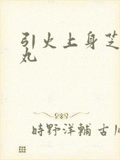 引火上身芝麻糖丸