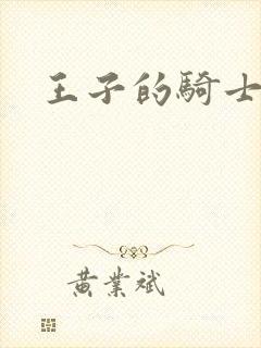 王子的骑士小说