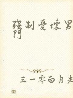 强制爱坏男送上门封面