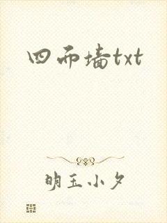 四面墙txt