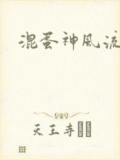 混蛋神风流记