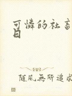 可怜的社畜东度日