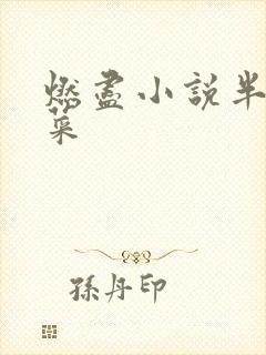 燃尽小说半截白菜