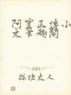 阿宾正传小说全文笔趣阁