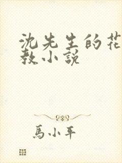 沈先生的花式调教小说