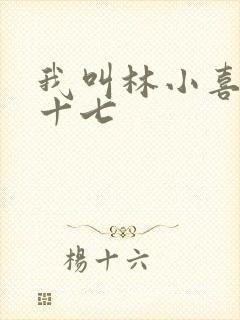 我叫林小喜今年十七封面