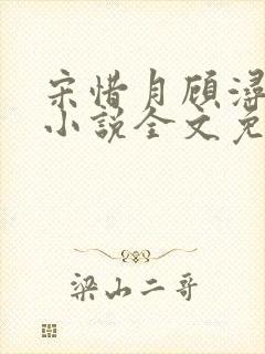 宋惜月顾浔渊的小说全文免费阅读封面