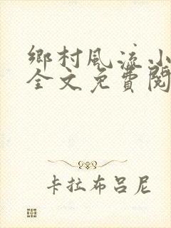 乡村风流小傻子全文免费阅读