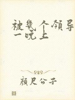 被几个领导玩弄一晚上