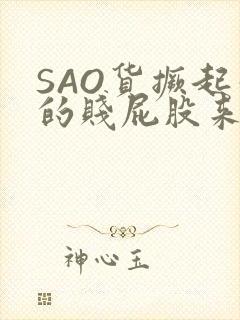 SAO货撅起你的贱屁股来