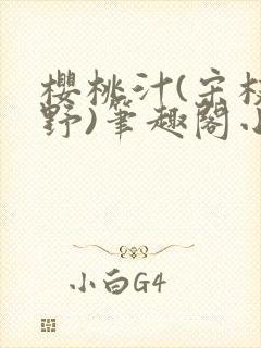 樱桃汁(宋枝江野)笔趣阁小说渡欲