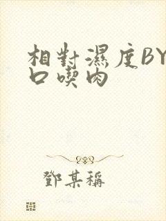 相对湿度BY大口吃肉