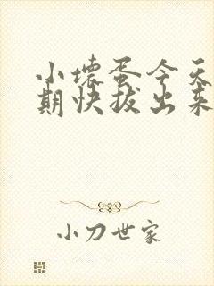 小坏蛋今天危险期快拔出来