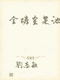 金磷岂是池中物封面