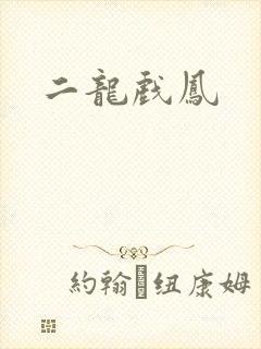 二龙戏凤封面