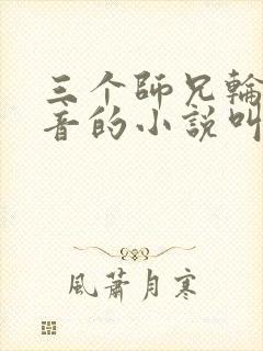 三个师兄轮流上音的小说叫什么