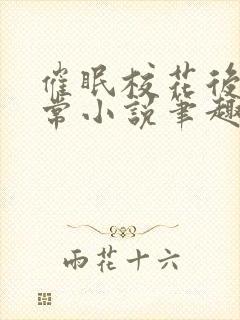 催眠校花后的日常小说笔趣阁