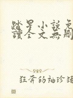 踏星小说免费阅读全文无删减封面