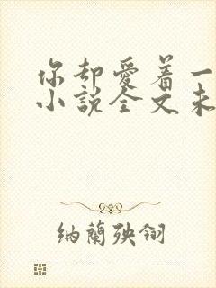 你却爱着一个他小说全文未删减免费